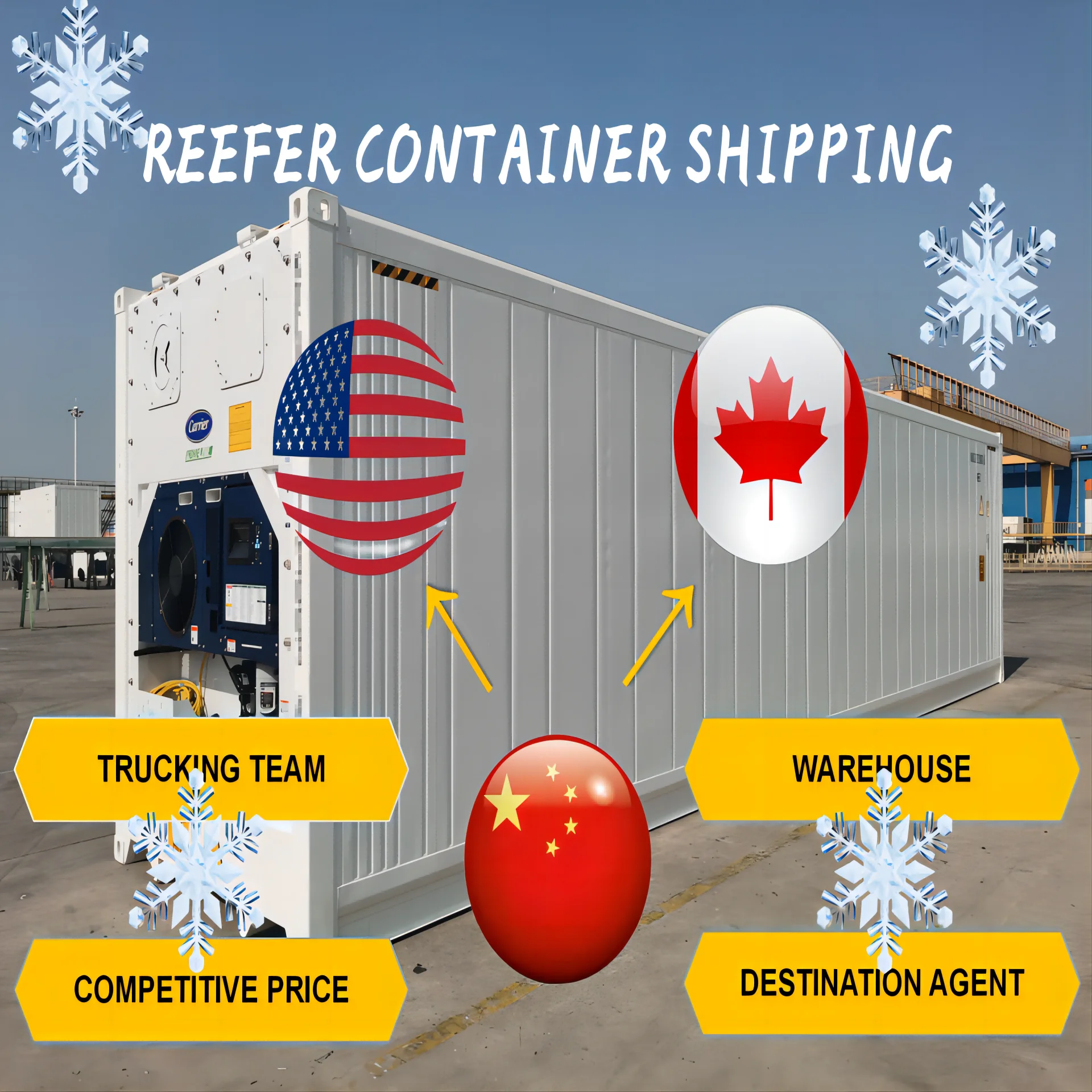 20ft 40 ft Reefer shipping to USA Canada