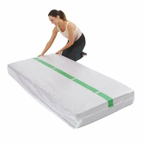 plastic bed moving cover