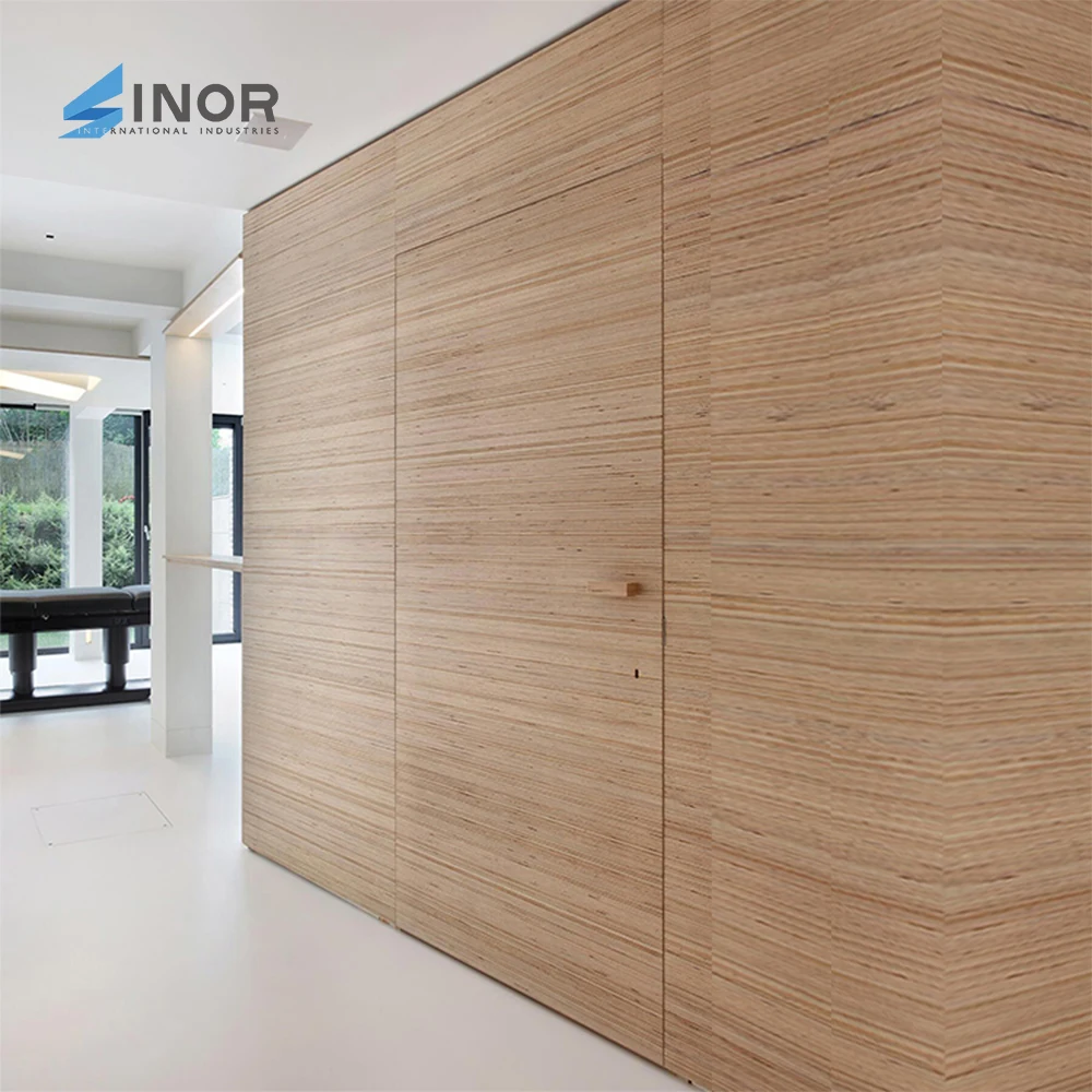 Frameless Invisible  Flush Concealed  MDF Door Lacquer Finish Solid Core Hidden Door