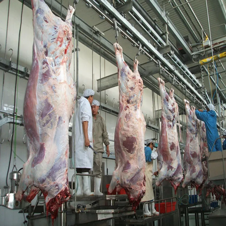 Halal cattle slaughterhouse equipment