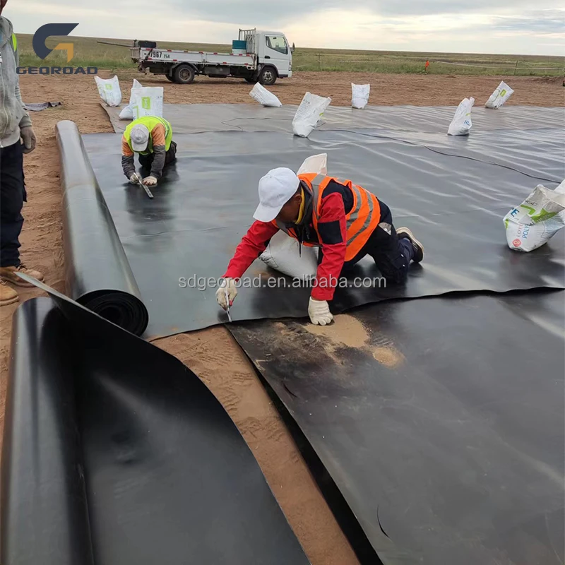 Waterproofing Geomembrane for Tunnel Hdpe Liner