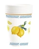 Gobelet en papier de 9 oz