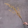 เลิฟเบอร์รี่สีส้มเหลือง