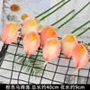 10 calas rosas