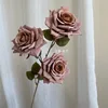 3-Head Mocha Rose Deep Coffee