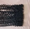 transparent lace curly