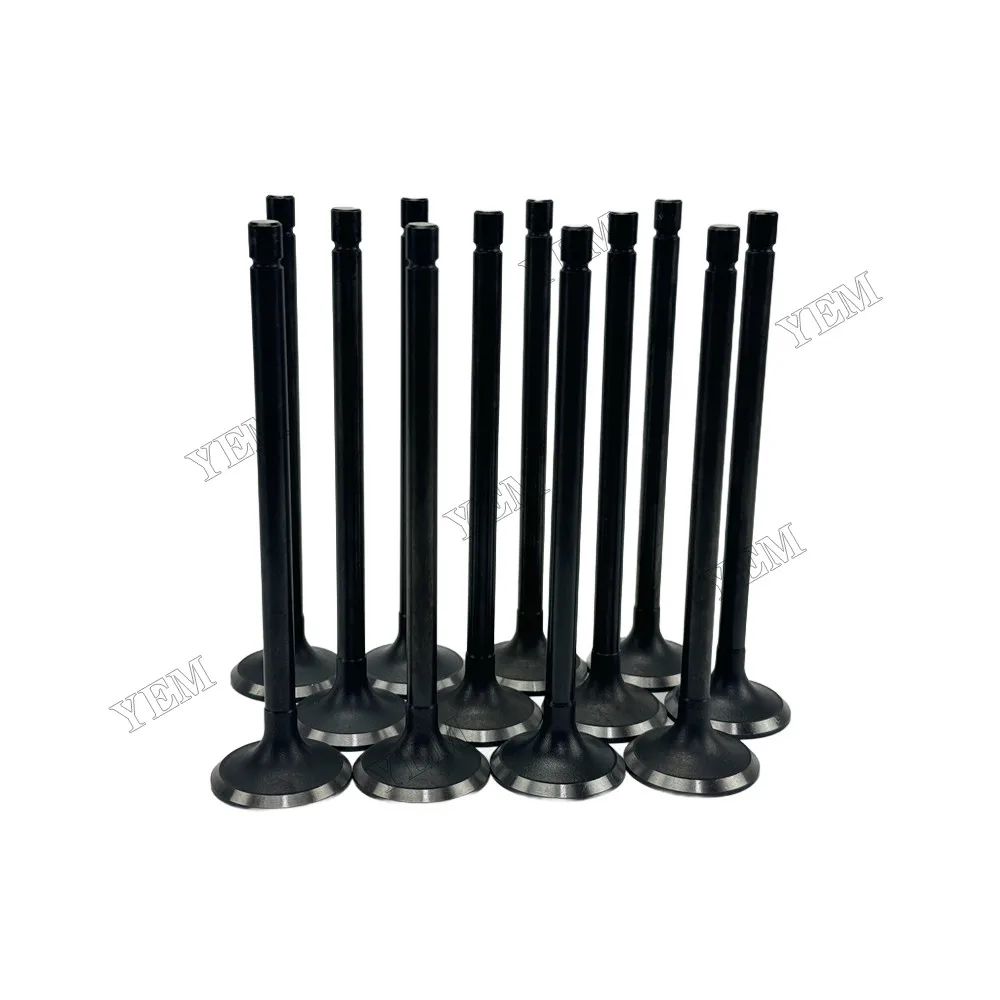 Intake Valve Fit for Nissan FE6T Engine 2