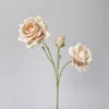 สีกากี