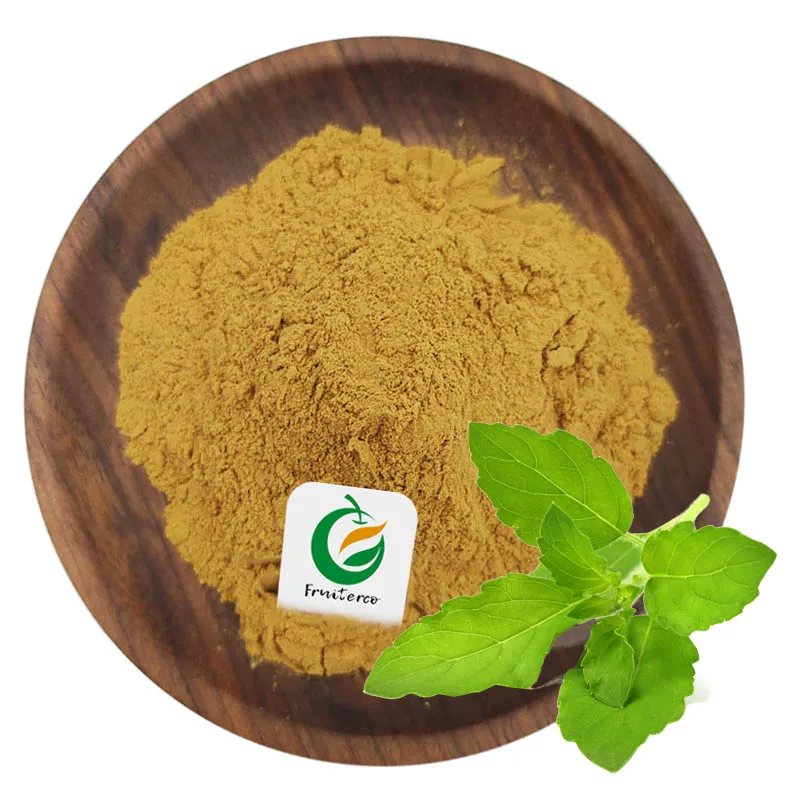 Holy Basil Leaves Extract Powder Ursolic Acid Tulsi Ocimum Sanctum Holy