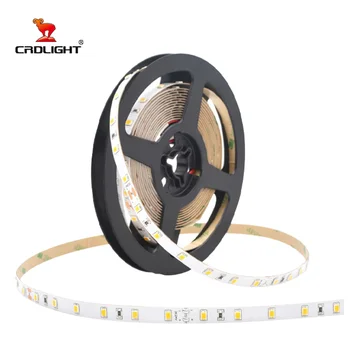 Advanced Technology Profile Flexible Led Strip Light Hot Style Promotional Oem Led Light Strip