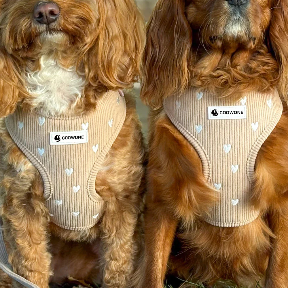 Wholesale Custom Embroidery Dog Harness Set | OEM with Walking Bag | coowone H0f2a27ccc825460a9590e9abafed1b7al