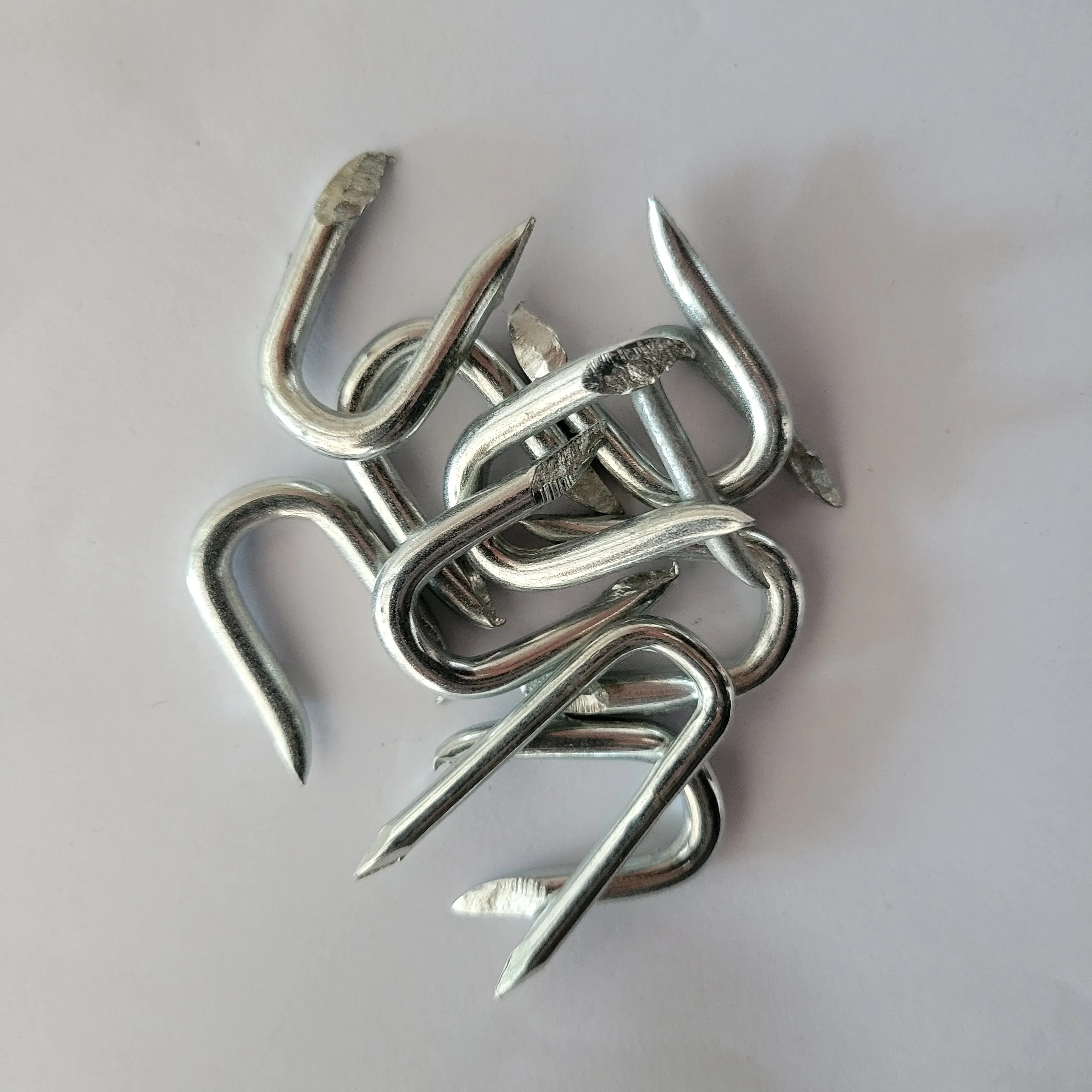 300 Pezzi Chiodi A U Zincati - Graffette Per Recinzioni, Reti E Legno, 20x18x10mm - Foto 11