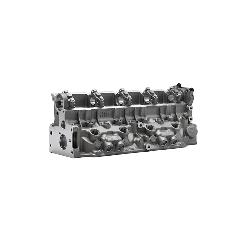 SMARTLION Cylinder Head for Renault Express Clio Megane1.9d