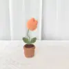 Rosa. Una planta de tulipán naranja en maceta.