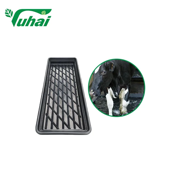 PE Hoof Bath Trough for Cattle and Dairy Farms | Livestock Hoof Cleaning and Disinfection Equipment