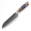 Santoku Knife