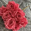 #10 luce rossa rosa