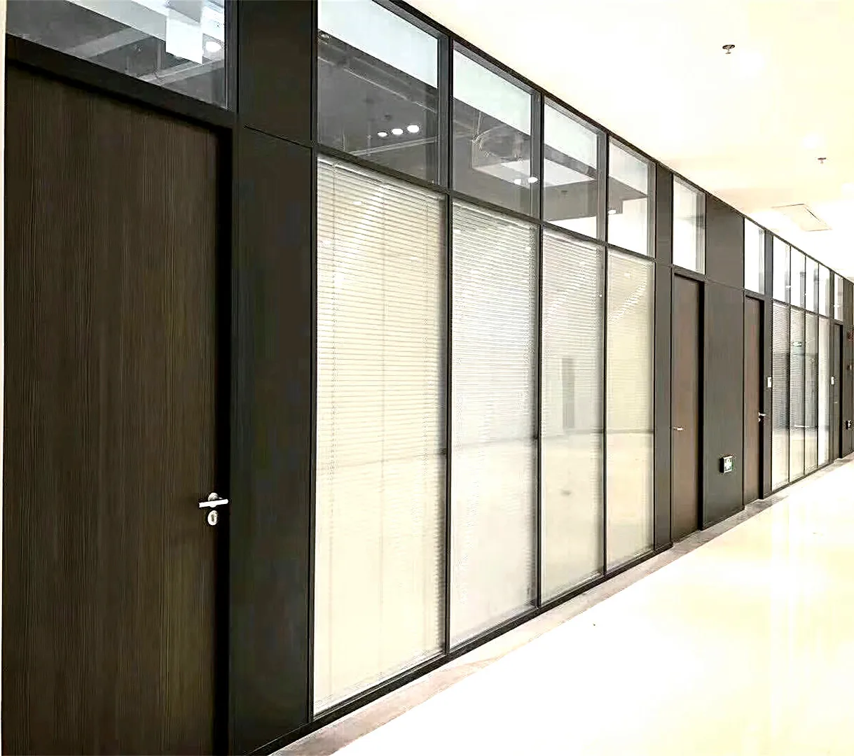 Office Glass Partition Single Double Fixed Glass Wall Partitioning Glass Wall With Flush Door Design
