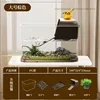 Black brown large base climbing stone-water grass