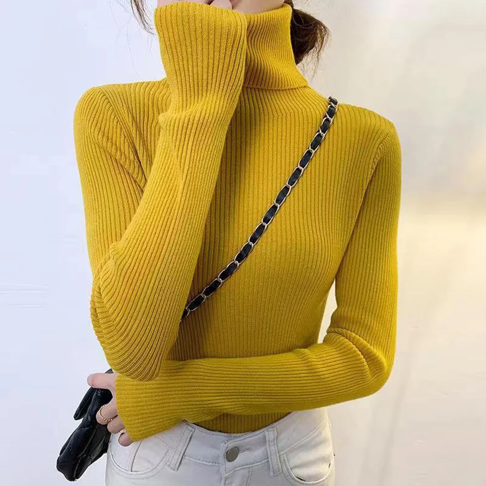 Autumn Winter Coloured Sweater Free Size Full Sleeve Pullover Sweater ...