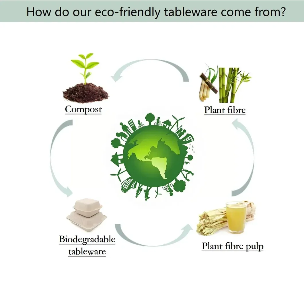 Square 24oz Sugarcane Bagasse Biodegradable Disposable 100% Compostable ...