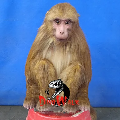 Dino0061  Custom Emulation Realistic Life Size  Resin Robotic Animatronic Wild Animal Model for Sale