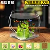 Large Square Bottom Bubble Tank - Basic Package