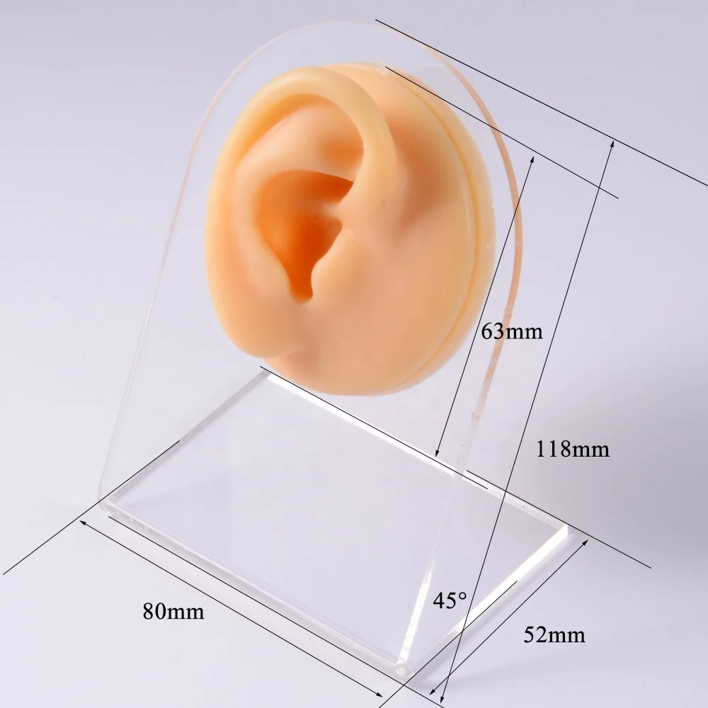 Gaby Soft Silicone Display Model with Stents  Faux Real Artificial Piercing Model  Display Tool Piercing  Jewelry