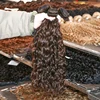 Deep Water Curly #2
