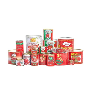 Delicious Home Cooking Tomato Paste in Sachet Bottle for Hamburger Fries & Fried Chicken Dip HACCP Certified