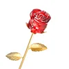 กุหลาบแดงสีสันสดใส