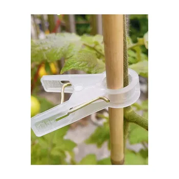 Transparent Plastic Support Clips Leaf Fixing Clips Vine Binding Clips For Climbing Plants