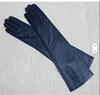 Paon Bleu