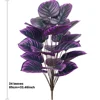 Viola-24*85