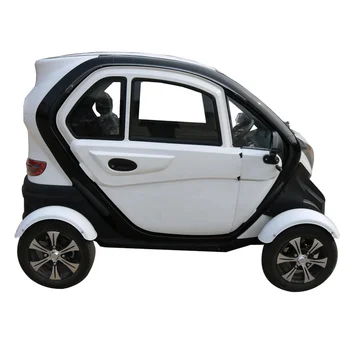 gas powered cars for adults