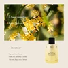 Osmanthus