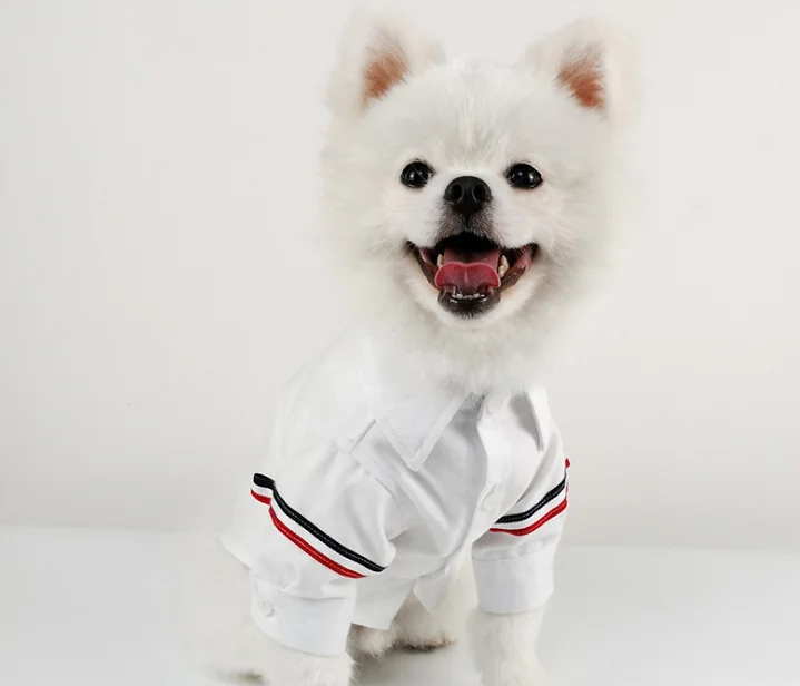 plain white dog shirt