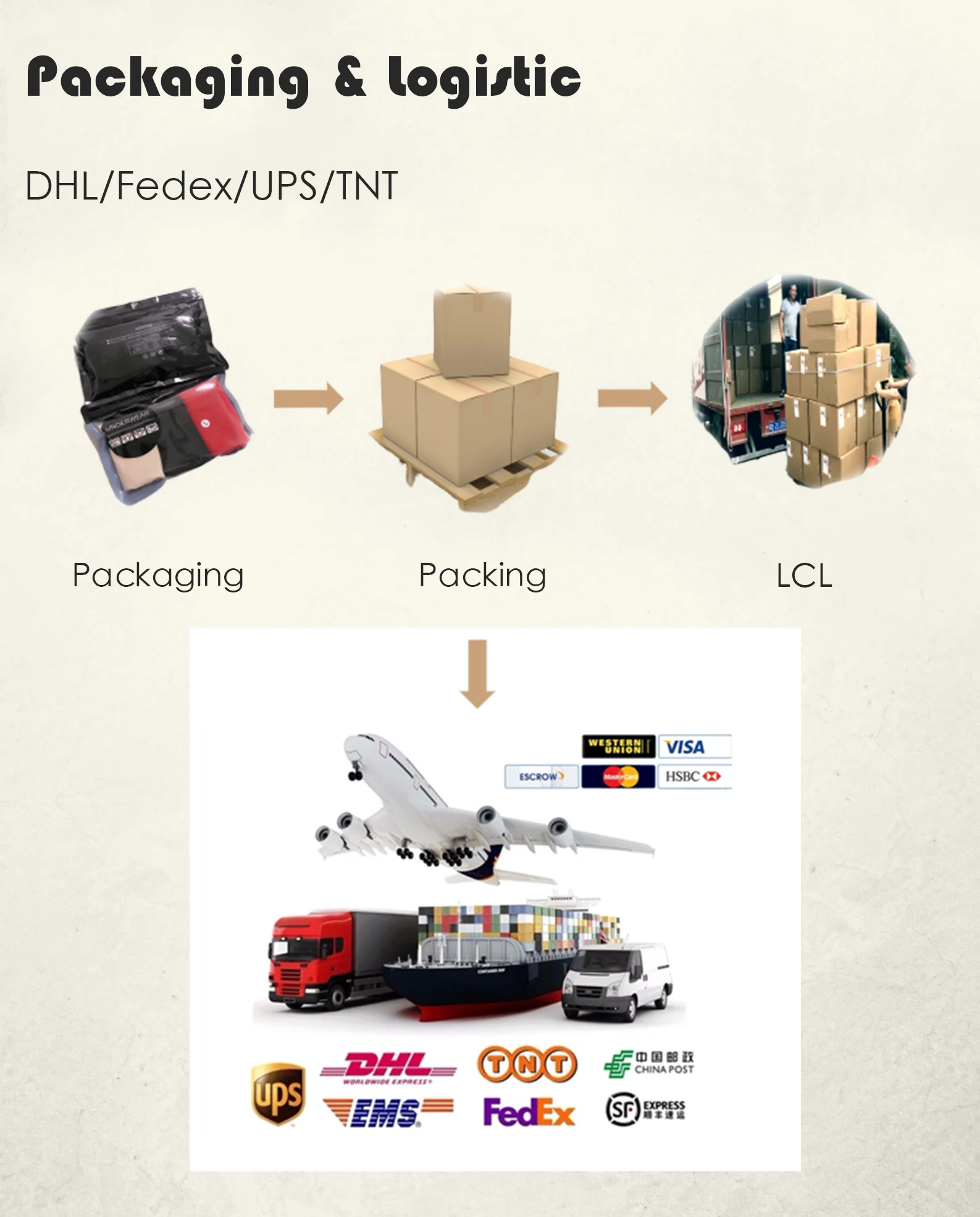 Customize Logo Lowrise Ladies Transparent Woman Wearing Panties Woman