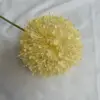 Champagne