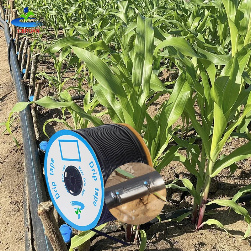 Yibiyuan Supplies 2 Hectare 16mm Water Pipe Drip Tape Irrigation 2000m Drip Irrigation Kit