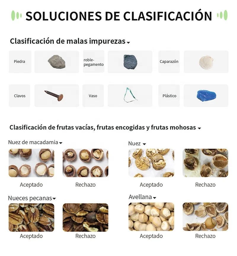 For WESORT Rustproof Garlic Size Grading and Color Sorting Machine Fruit & Vegetable Processing Equipment
