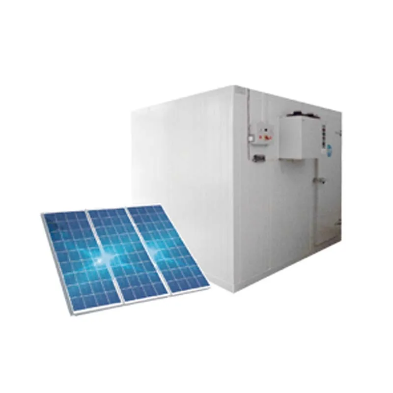 Solar Container Cold Storage  With Panel and Battery Preservation Machinery Cool Room Cold Storage