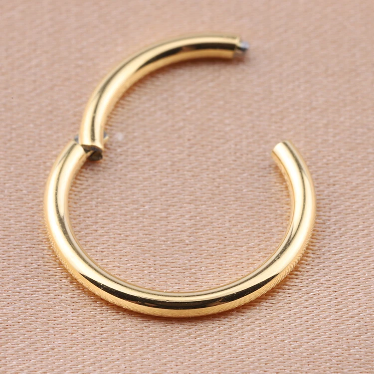 Wholesale F136 Titanium Nose Ring Ear Helix Tragus Ring Gold Hinged Segment Ringsdesigner Nose Ring Hoop
