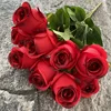 Rosso scuro