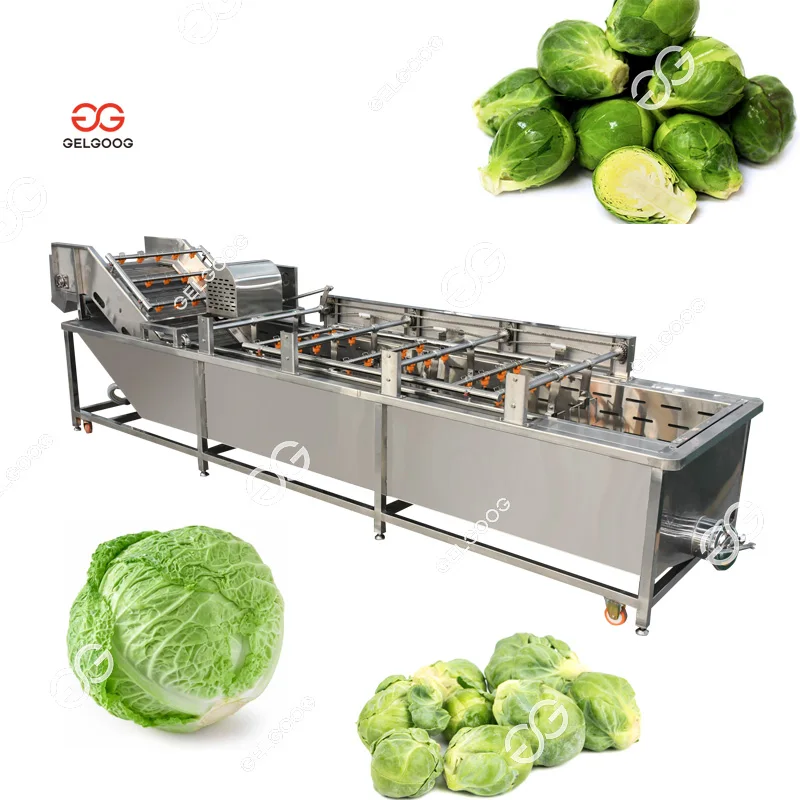 High Quality Yam Root Radish Vegetable Washing Peeling Machine Spinach Washer Salad Vegetable Cleaning Machine
