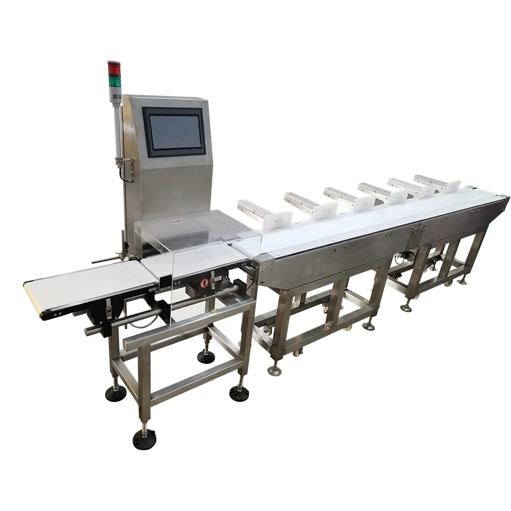 Online Auto Weight Sorting Machine Food Conveyor for Fish