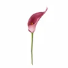 Orquídea