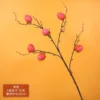 Persimmon branch with 6 fruits - red