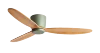 Grain de bois vert