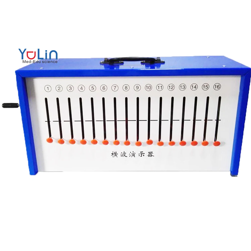 Physics Laboratory Instruments Model Longitudinal Wave or Transverse ...